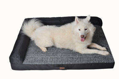 M-Diamant Orthopädisches Hundebett und Katzenbett aus Plüsch Waschbar und Rutschfest – Bild 1 von 2