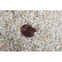 Produktbild von M&S Aspen Einstreu Reptiles Allround Chips 50 Liter / 10 kg - 10 kg