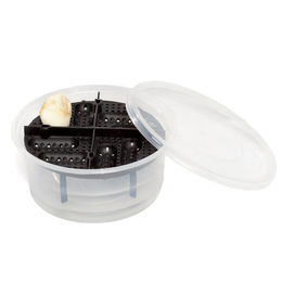 M&S Reptilien GEO Eiablagebehälter für Chamäleons aus transparentem Kunststoff mit Becher – Bild 1 von 2