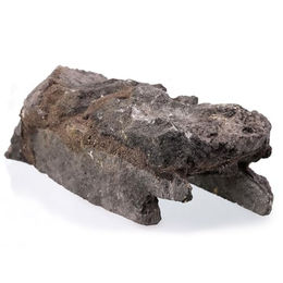 Produktbild von M&S Reptilien Höhle aus Holz für Echsen