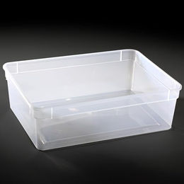 Produktbild von M&S Reptilien Kunststoffbox transparent groß 24x18x7,5 cm mit transparentem Deckel