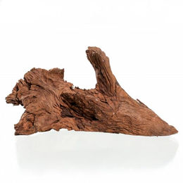 M&S Reptilien Mangrovenwurzel Ast Braun 30-40cm – Bild 1 von 2