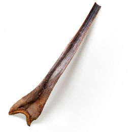 Produktbild von M&S Reptilien Papah-Holz Ast XL Braun 60-70 cm für Geckos