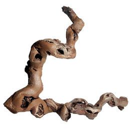 M&S Reptilien Rebwurzel Ast für Echsen 30-40 cm – Bild 1 von 2