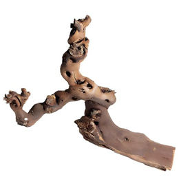 M&S Reptilien Rebwurzel Ast XL 70-80cm Braun – Bild 1 von 2