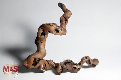 M&S Reptilien Terrariendeko Rebwurzel aus Naturholz braun 50-70 cm – Bild 1 von 3
