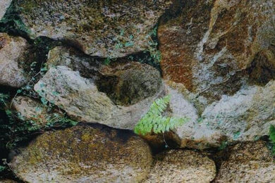 Produktbild von M&S Reptilien Terrarienrückwand Granit Grau