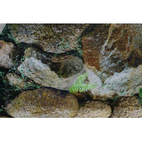 Produktbild von M&S Reptilien Terrarienrückwand Granit Grau