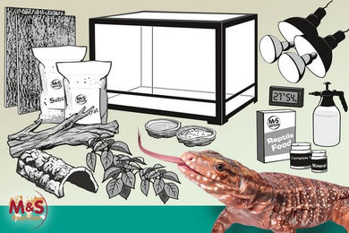 M&S Reptilien Terrarium Komplettset für Bartagamen in Weiß mit 150 cm Länge – Bild 1 von 1