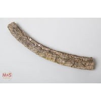 Produktbild von M&S Reptilien Terrarium Zierkork Tronchos aus Naturkork Braun 20-40 cm