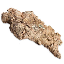 M&S Reptilien Zierkork flach braun – Bild 1 von 2