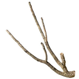 Produktbild von M&S Reptilien Zierkork Tronchos verzweigt Natur Braun Small 50-70 cm - 10 cm