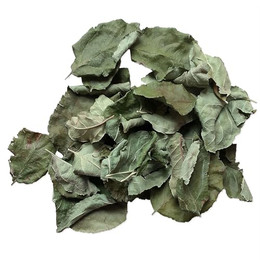 Produktbild von M&S Reptilien Apfelblätter grün getrocknet