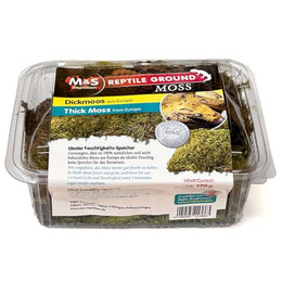 Produktbild von M&S Reptilien Dickmoos - 2,5 l