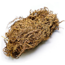 Produktbild von M&S Reptilien Farnblätter im Beutel