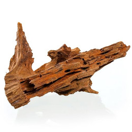 Produktbild von M&S Reptilien Mangrovenwurzel small 20-30cm