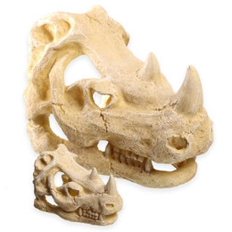 Produktbild von M&S Reptilien ReptiZoo Nashornschädel Versteckhöhle