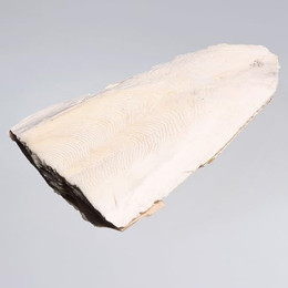 Produktbild von M&S Reptilien Sepia Schale naturbelassen XL - 50 g