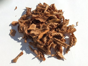 Produktbild von M&S Reptilien Terrarium Buchenlaub braun getrocknet