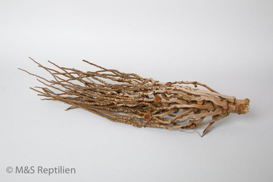 Produktbild von M&S Reptilien Terrarium Deko Wurzel Kokosrispen 40-50 cm