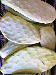 Produktbild von M&S Reptilien Terrarium Feigenkaktus Opuntia ficus indica Futterpflanze - 10 kg