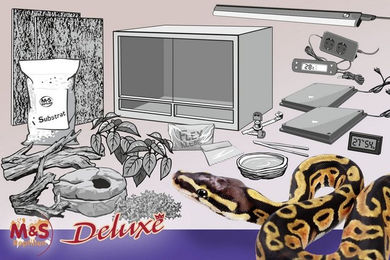 M&S Reptilien Terrarium Komplettset DELUXE: Für Königspythons (120 cm Länge) – Bild 1 von 4