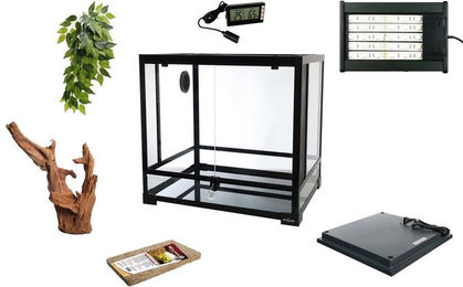 M&S Reptilien Terrarium Komplettset: Für Frösche / PacMan Frösche – Bild 1 von 4