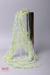 Produktbild von M&S Reptilien Terrarium Kunststoffpflanze Hänge-Tillandsie - 100 cm