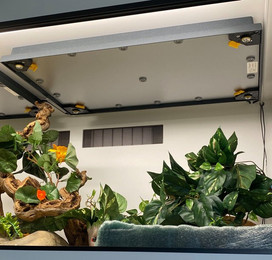 Produktbild von M&S Reptilien Terrarium M&S Reptile Climate,