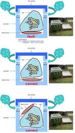 Produktbild von M&S Reptilien Terrarium Taschenwärmer - 80 g