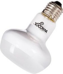 Produktbild von M&S Reptilien Terrarium Wacool Intense Basking Spot 100 Watt - 100 Stk.