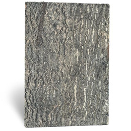 Produktbild von M&S Reptilien Zierkorkrückwand Nature 90x60x2cm