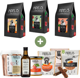 Produktbild von Magen und Darm (Bundle 10)