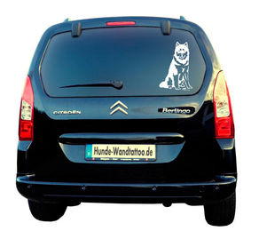 Produktbild von Malamut Auto Wohnmobil Aufkleber I Wandtattoo