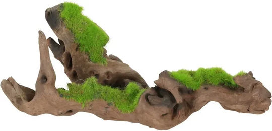 Produktbild von Malaysische Wurzel für das Aquarium Zolux kipouss