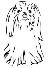 Produktbild von Malteser Langhaar Grafiklizenz