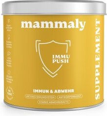 Produktbild von mammaly Immu Push 350 g