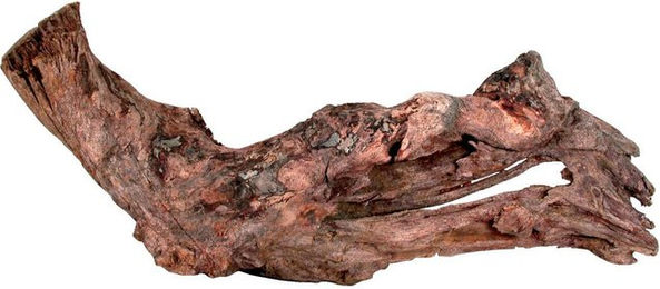 Produktbild von Mangrovenwurzel für das Aquarium Zolux