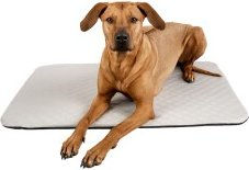 Manuly Isomatte mit Cooling Aqua Bezug L – Bild 1 von 10