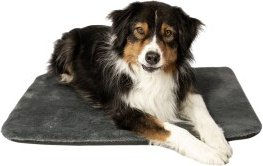 Manuly Isomatte mit Langhaar Aqua Bezug M – Bild 1 von 10