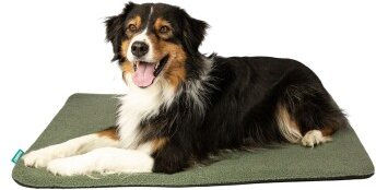 Manuly Isomatte mit Teddy Bezug M – Bild 1 von 10