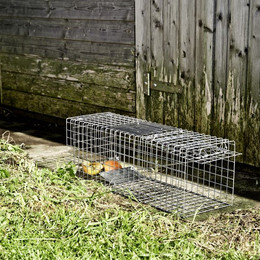 Produktbild von Marderfalle 60x18x20cm verzinkt