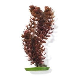 Produktbild von Marina Aquariendeko Aquariumpflanze Foxtail 30cm