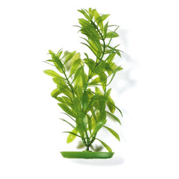 Produktbild von Marina Aquascaper Hygrophila Kunststoff-Wasserpflanze 30cm