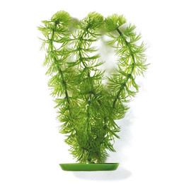 Produktbild von Marina Aquascaper Kunststoff-Aquarienpflanze Hornwort 30cm