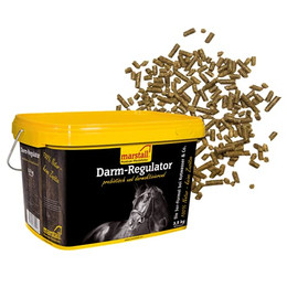 Produktbild von marstall Premium-Pferdefutter Darm-Regulator - 3,5 kg