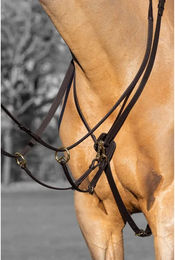 Produktbild von Martingal für chevall running LeMieux Kudos