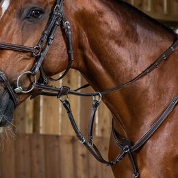 Produktbild von Martingal für Pferd Dy'on Working