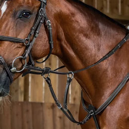 Produktbild von Martingal für Pferd Dy'on Working