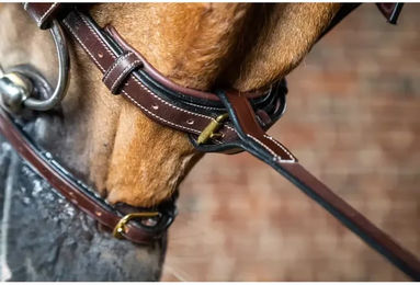 Produktbild von Martingal-Glied Dy'on